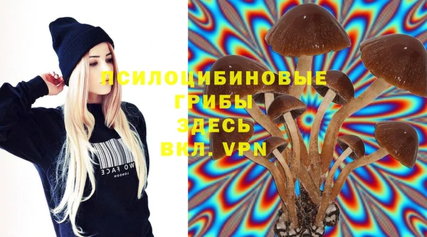 PSILOCYBIN Михайловск