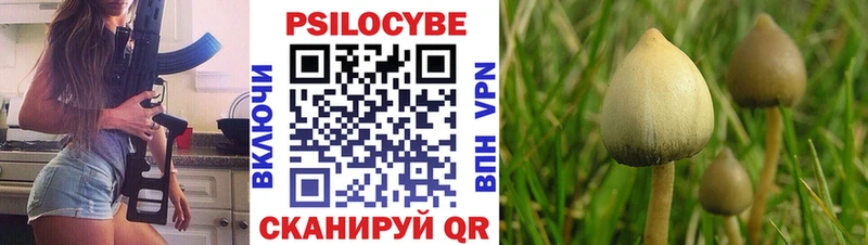 Галлюциногенные грибы Psilocybine cubensis  Суздаль 