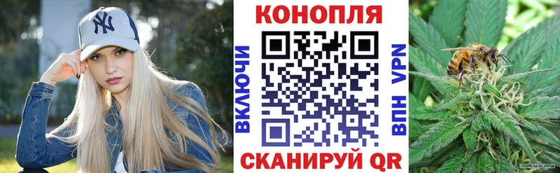 Канабис Amnesia  mega вход  Суздаль 